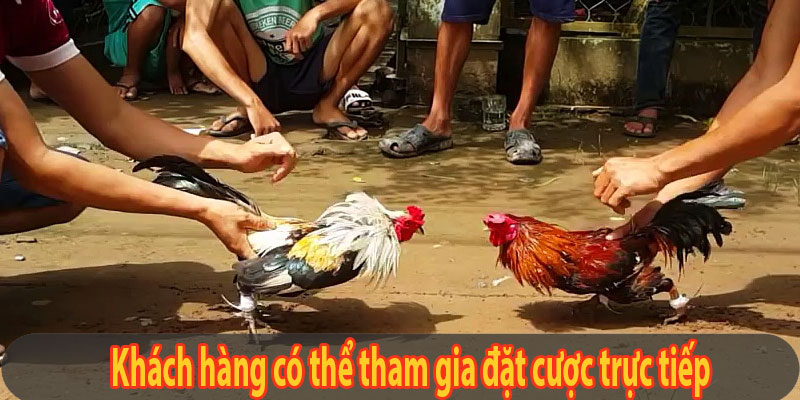 Khách hàng được tham gia đặt cược trực tiếp