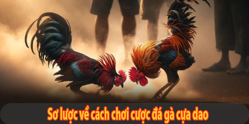 Sơ lược về cách đặt cược với đá gà cựa dao